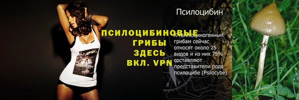 2c-b Абинск