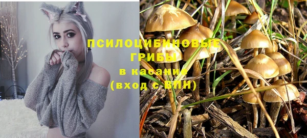 а пвп мука Ивангород