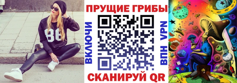 Галлюциногенные грибы ЛСД Зубцов